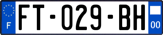 FT-029-BH