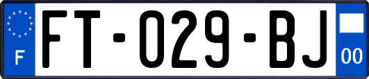 FT-029-BJ