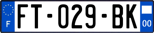 FT-029-BK