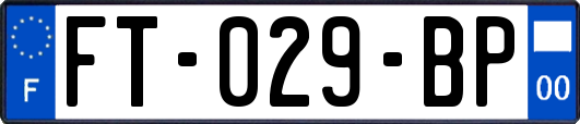 FT-029-BP