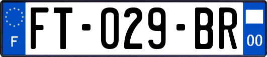 FT-029-BR