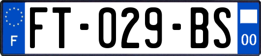 FT-029-BS