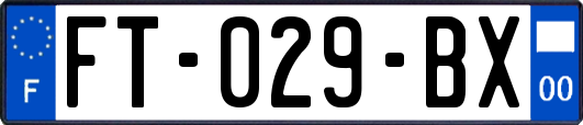 FT-029-BX