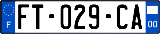 FT-029-CA