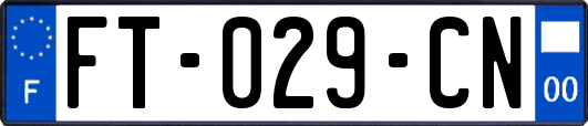 FT-029-CN