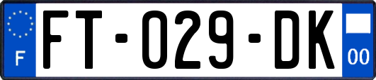 FT-029-DK