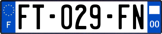 FT-029-FN