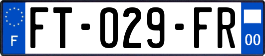 FT-029-FR