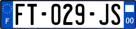 FT-029-JS