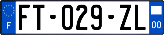 FT-029-ZL