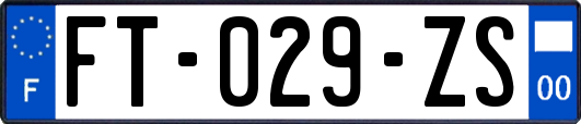 FT-029-ZS