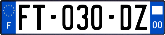 FT-030-DZ
