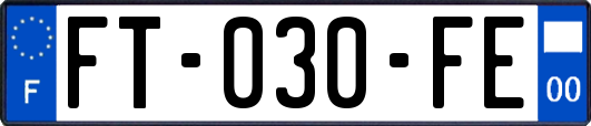 FT-030-FE