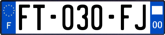 FT-030-FJ