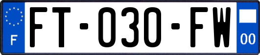 FT-030-FW