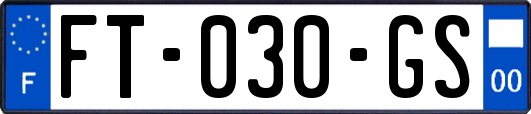 FT-030-GS