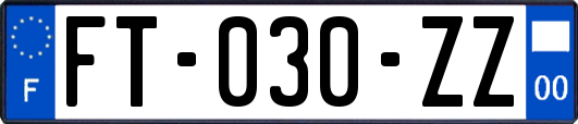 FT-030-ZZ