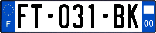 FT-031-BK