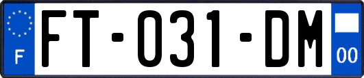 FT-031-DM