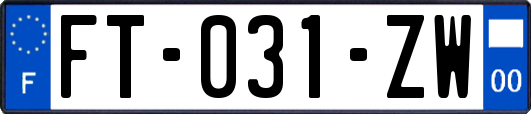 FT-031-ZW