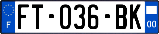 FT-036-BK