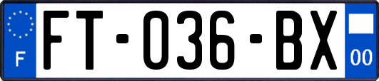 FT-036-BX