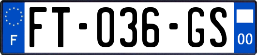FT-036-GS