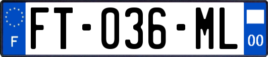 FT-036-ML