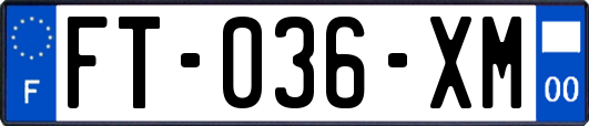 FT-036-XM