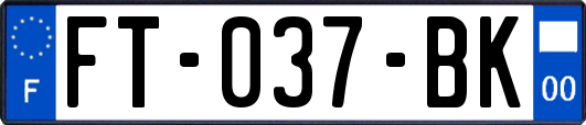 FT-037-BK