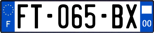 FT-065-BX