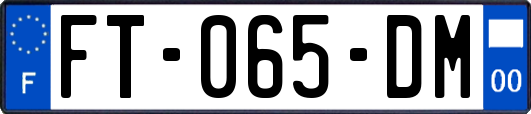 FT-065-DM