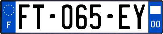 FT-065-EY