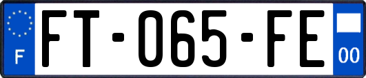 FT-065-FE