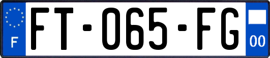 FT-065-FG