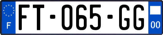 FT-065-GG