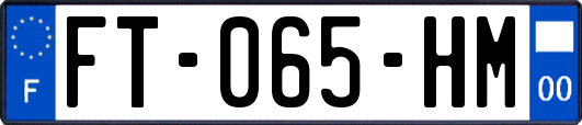 FT-065-HM