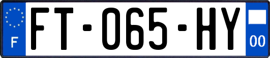 FT-065-HY