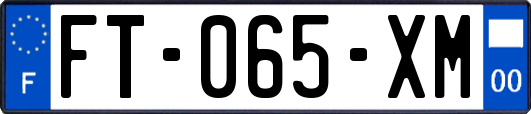 FT-065-XM