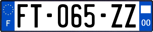 FT-065-ZZ