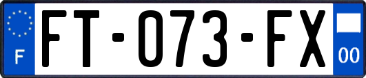 FT-073-FX