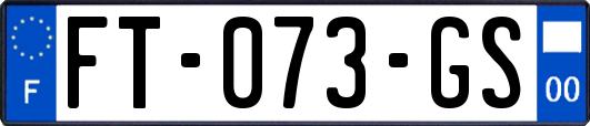 FT-073-GS