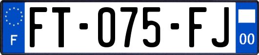 FT-075-FJ