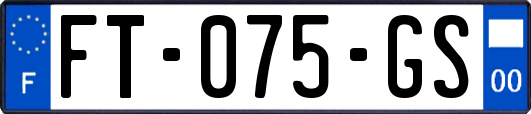 FT-075-GS
