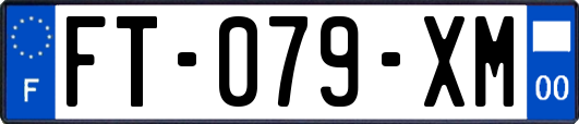 FT-079-XM
