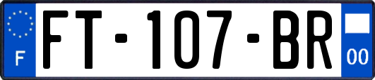 FT-107-BR