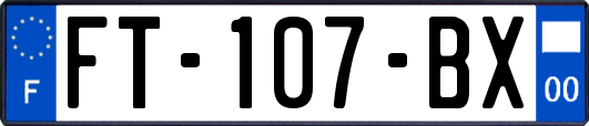 FT-107-BX