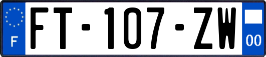 FT-107-ZW