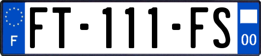 FT-111-FS