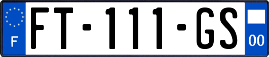 FT-111-GS